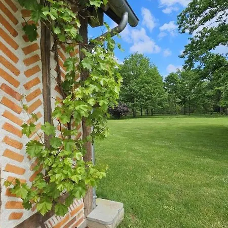 Holiday home Champetre Avec Bain Nordique Et Terrasse Privative - Fr-1-491-441